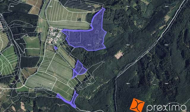 Prodej lesa 932 m², Městečko Trnávka, okres Svitavy