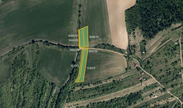 Prodej pole 14 142 m², Kyjov – Bohuslavice, okres Hodonín