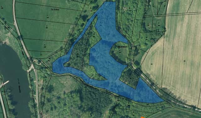 Prodej lesa 5 528 m², Břasy, okres Rokycany