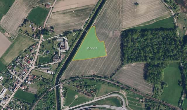 Prodej pole 15 942 m², Provodov-Šonov – Kleny, okres Náchod