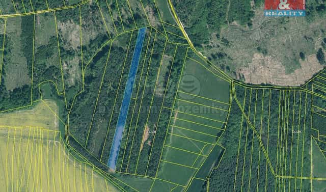 Prodej lesa 12 669 m², Jetětice, okres Písek