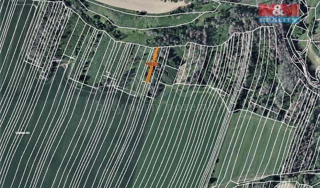 Prodej lesa 372 m², Trhový Štěpánov, okres Benešov