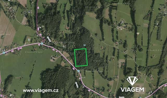 Prodej lesa 1 420 m², Janovice, okres Frýdek-Místek
