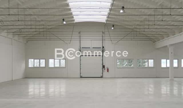 Pronájem skladovacích prostor 1 124 m², Holubice, okres Vyškov