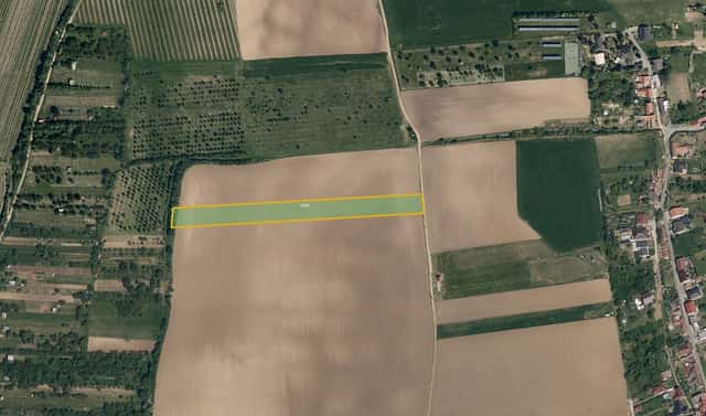 Prodej pole 8 059 m², Kostelec, okres Hodonín