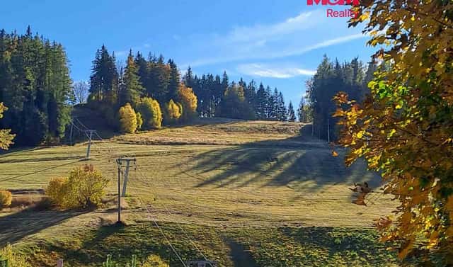 Prodej pole 8 308 m², Stará Ves, okres Bruntál