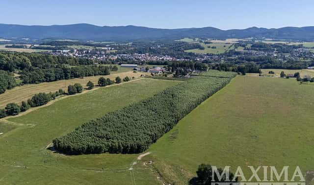 Prodej pole 50 397 m², Frýdlant, okres Liberec