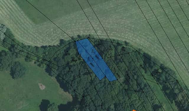 Prodej lesa 707 m², Nivnice, okres Uherské Hradiště