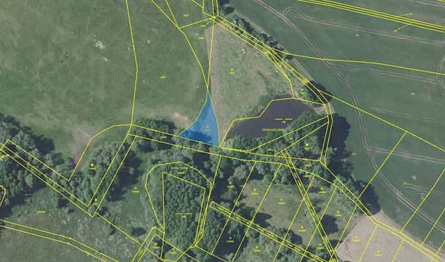 Prodej zahrady 888 m², Pod Chrastišovem, Jankov, okres Benešov