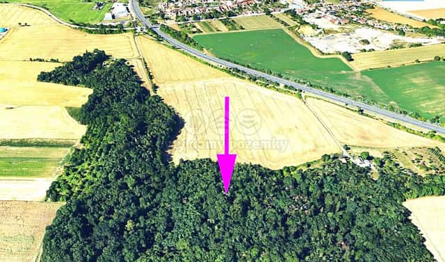 Prodej lesa 4 332 m², Držovice, okres Prostějov