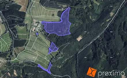 Prodej lesa 932 m², Městečko Trnávka, okres Svitavy