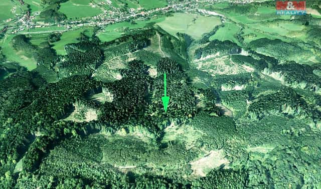 Prodej lesa 16 652 m², Lhota u Vsetína, okres Vsetín