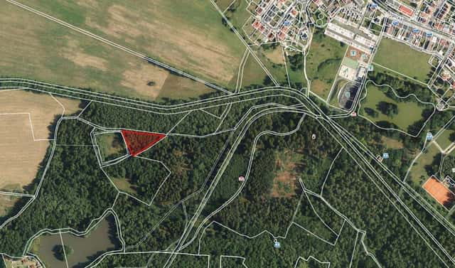 Prodej lesa 2 956 m², Jezerní, Františkovy Lázně, okres Cheb