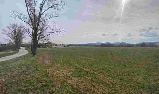 Prodej stavebního pozemku 3 502 m², Horní Stropnice – Bedřichov, okres České Budějovice