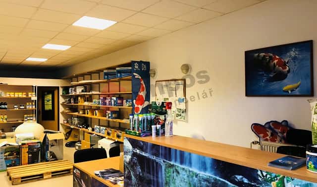 Pronájem obchodních prostor 79 m², Sobolova, Brno – Bohunice, okres Brno-město