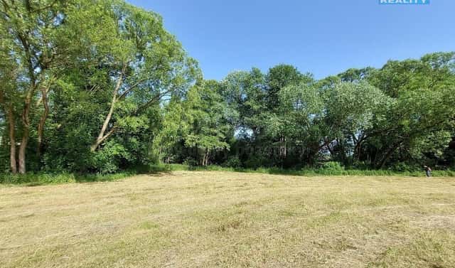Prodej louky 237 m², Pravonín, okres Benešov