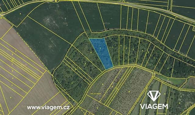 Prodej pole 4 483 m², Kobylí, okres Břeclav