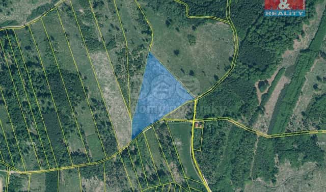Prodej lesa 29 198 m², Jetětice, okres Písek