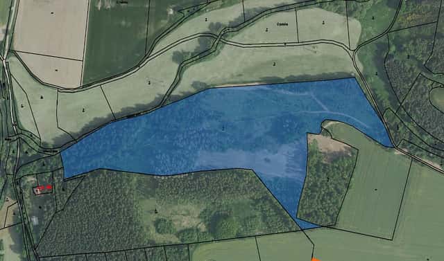 Prodej lesa 3 200 m², Mirovice, okres Písek