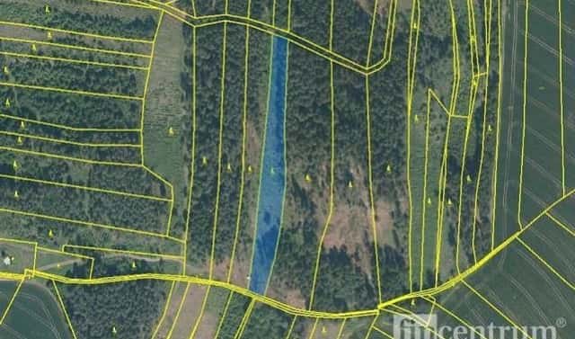Prodej lesa 28 936 m², Radkov, okres Jihlava