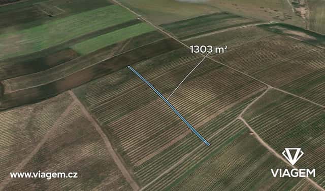 Prodej pole 1 303 m², Prušánky, okres Hodonín