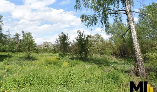 Prodej stavebního pozemku 4 941 m², Polom, okres Přerov