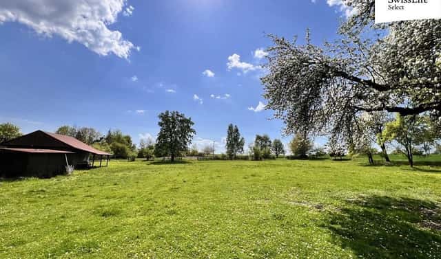 Prodej stavebního pozemku 3 735 m², Krsy, okres Plzeň-sever