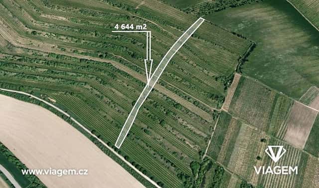 Prodej pole 4 651 m², Morkůvky, okres Břeclav