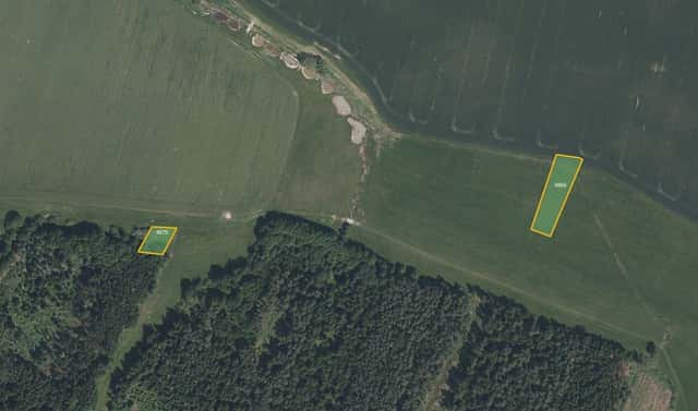 Prodej louky 2 785 m², Křenovice, okres Písek