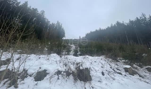 Prodej lesa 70 240 m², Bozkov, okres Semily