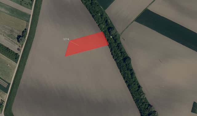 Prodej pole 7 125 m², Moravský Písek, okres Hodonín