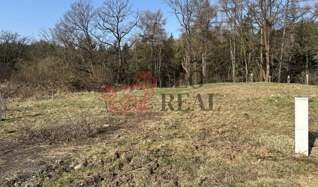 Prodej stavebního pozemku 1 100 m², Ludvíkovice, okres Děčín
