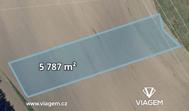 Prodej pole 1 446 m², Vacenovice, okres Hodonín