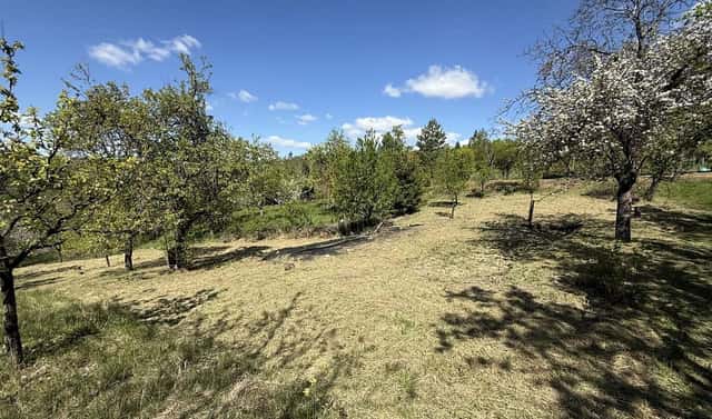 Prodej zahrady 539 m², Slavkov u Brna, okres Vyškov