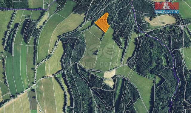 Prodej louky 7 064 m², Cotkytle, okres Ústí nad Orlicí