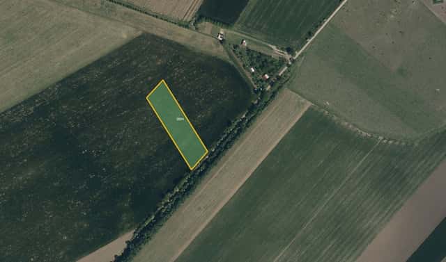 Prodej pole 4 852 m², Tvarožná Lhota, okres Hodonín