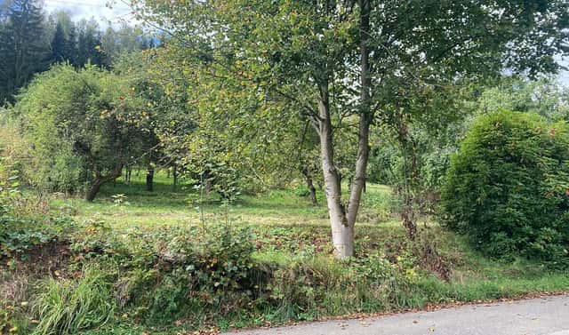 Prodej stavebního pozemku 1 132 m², Plavy, okres Jablonec nad Nisou