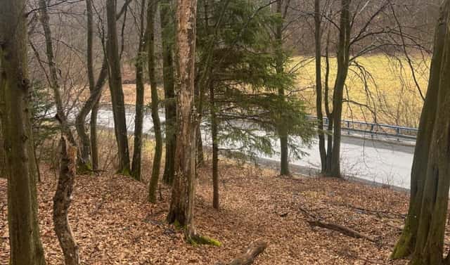 Prodej lesa 16 650 m², Zděchov – Velešovice, okres Vsetín