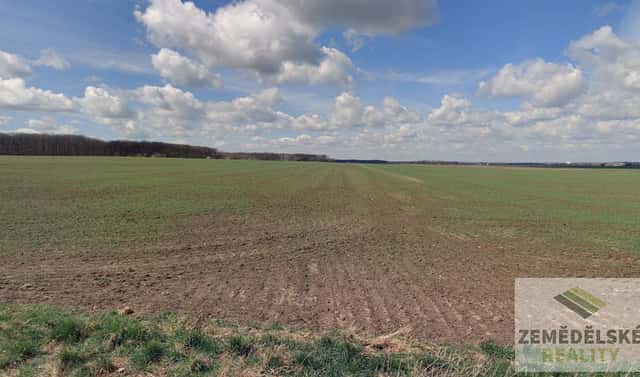 Prodej pole 9 861 m², Lovčice, okres Hradec Králové