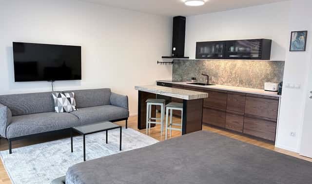 Pronájem bytu 1+kk 45 m², Krásova, Praha 3 – Žižkov