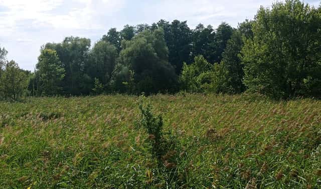 Prodej pozemku 6 724 m², Brod nad Dyjí, okres Břeclav