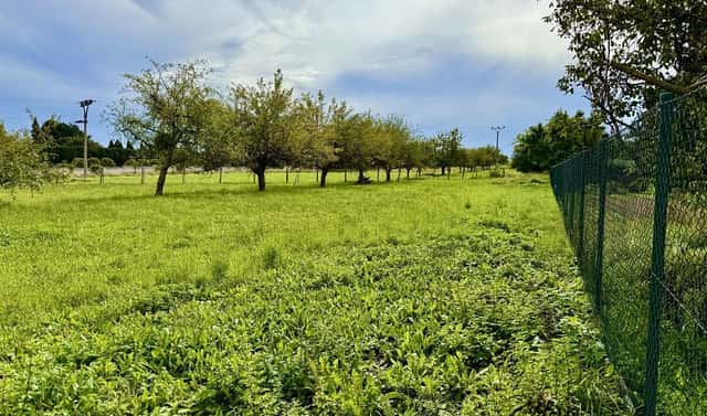 Prodej stavebního pozemku 913 m², Náměstí, Dřevohostice, okres Přerov
