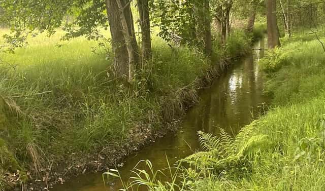 Prodej vodní plochy 130 000 m², Chlum u Třeboně – Žíteč, okres Jindřichův Hradec