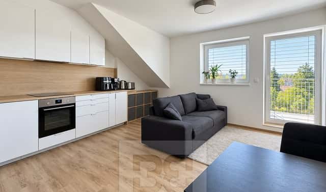 Prodej bytu 2+kk 66 m², Táborská, Brno – Židenice, okres Brno-město