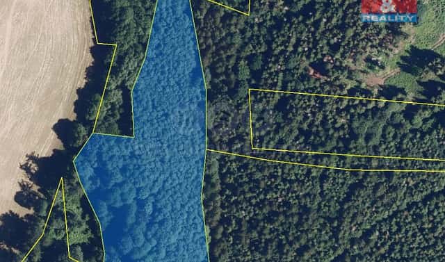 Prodej lesa 8 566 m², Jiříkov, okres Bruntál