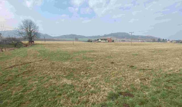 Prodej pozemku 15 629 m², Linhartice, okres Svitavy