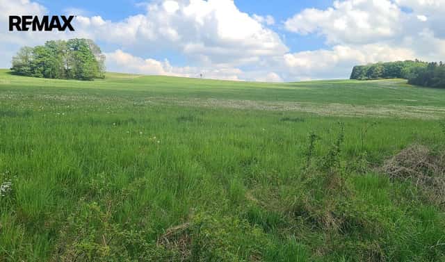 Prodej louky 7 058 m², Čížkov, okres Plzeň-jih