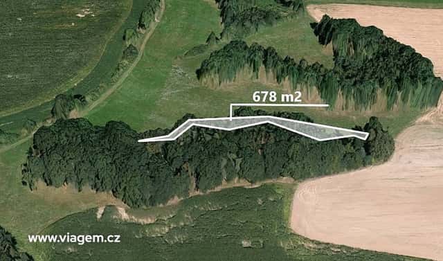 Prodej lesa 678 m², Zahořany, okres Domažlice