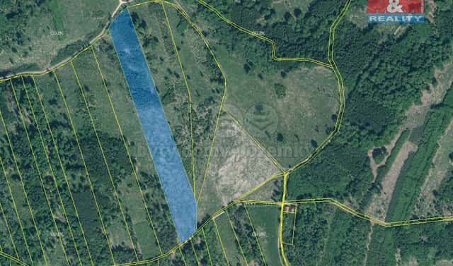 Prodej lesa 36 550 m², Jetětice, okres Písek