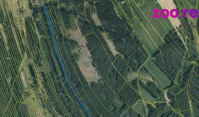 Prodej lesa 4 056 m², Deštná, okres Jindřichův Hradec